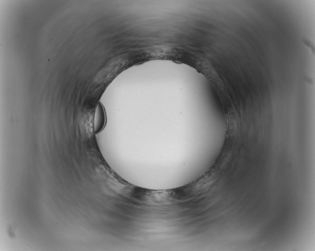 X0000100870479200807071107