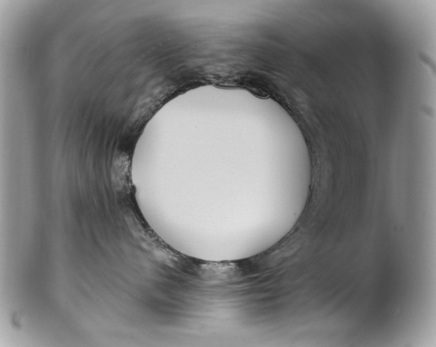 X0000100870480200807071107