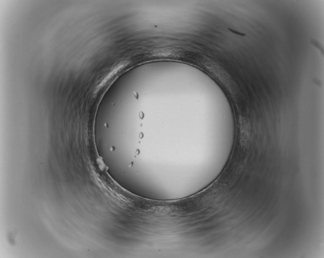 X0000100870482200807071106