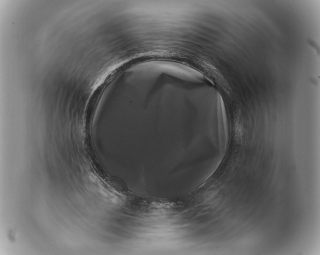 X0000100870484200807071106