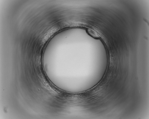 X0000100870485200807071106