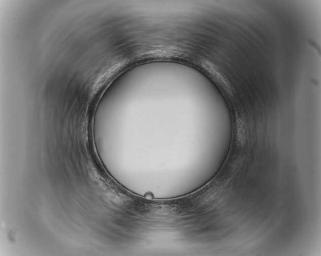 X0000100870486200807071106