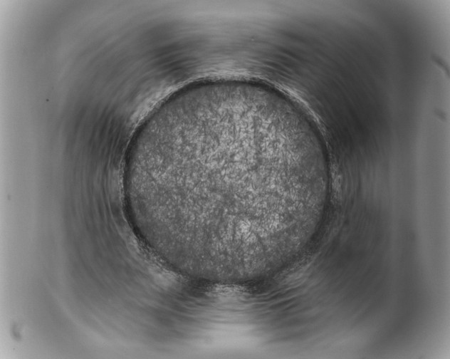 X0000100870487200807071106