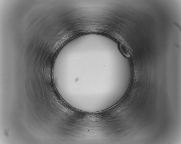 X0000100870489200807071106