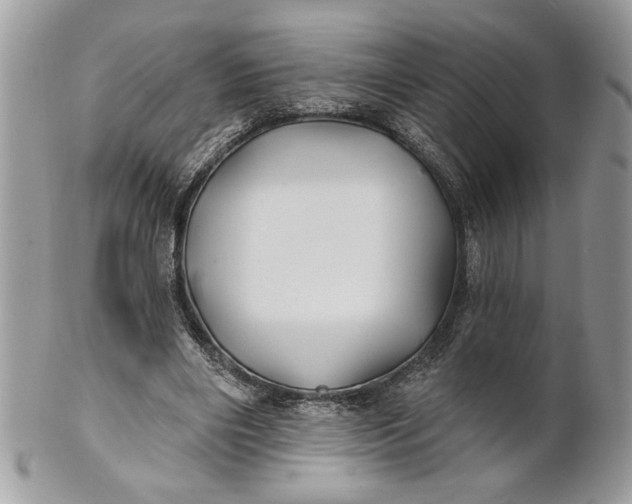 X0000100870490200807071106