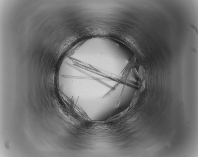 X0000100870491200807071106