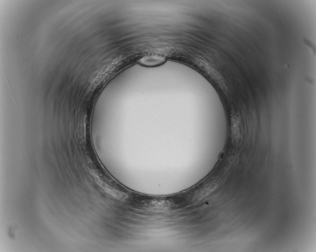 X0000100870493200807071106