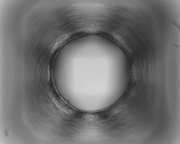 X0000100870494200807071106