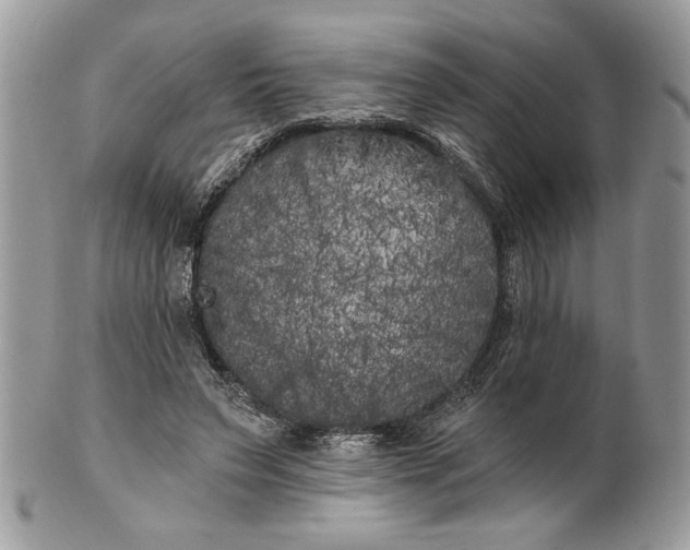 X0000100870495200807071106