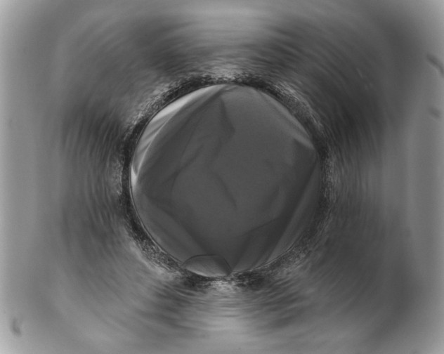 X0000100870496200807071106