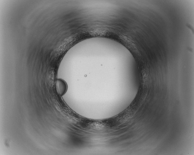 X0000100870498200807071106