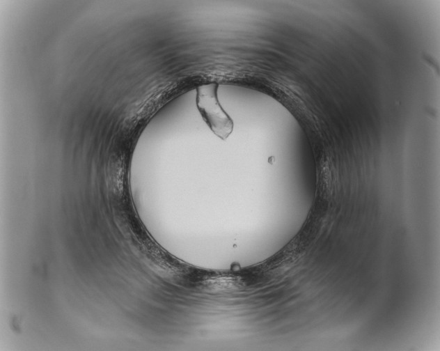 X0000100870499200807071106