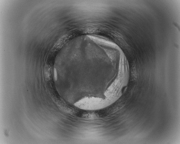 X0000100870503200807071106