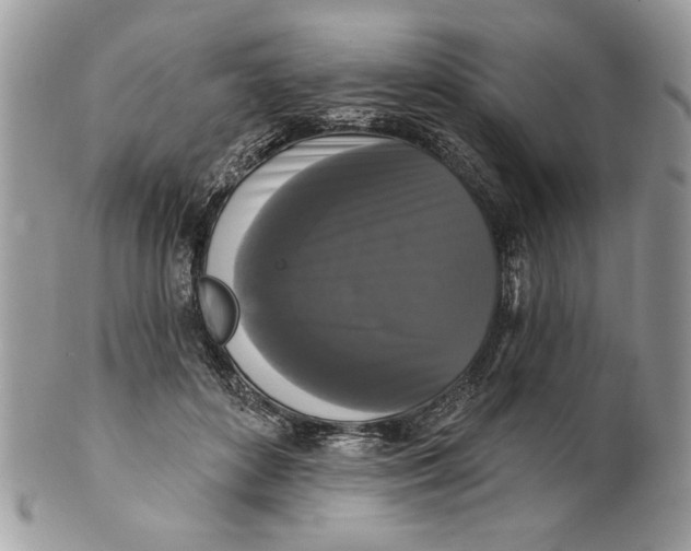 X0000100870504200807071106