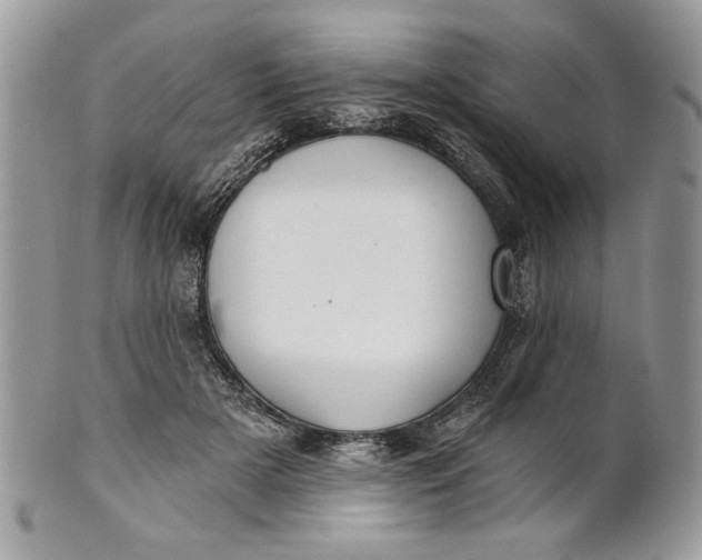 X0000100870505200807071106