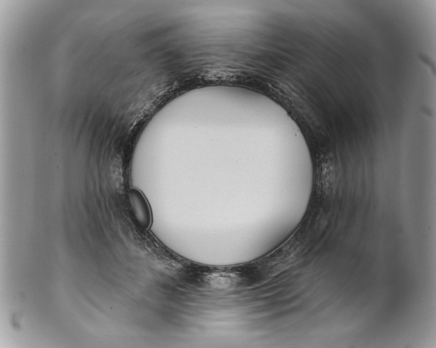 X0000100870508200807071106