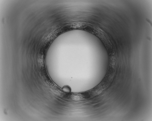 X0000100870510200807071106