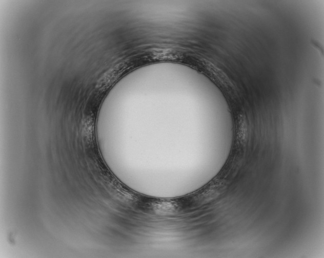 X0000100870513200807071106