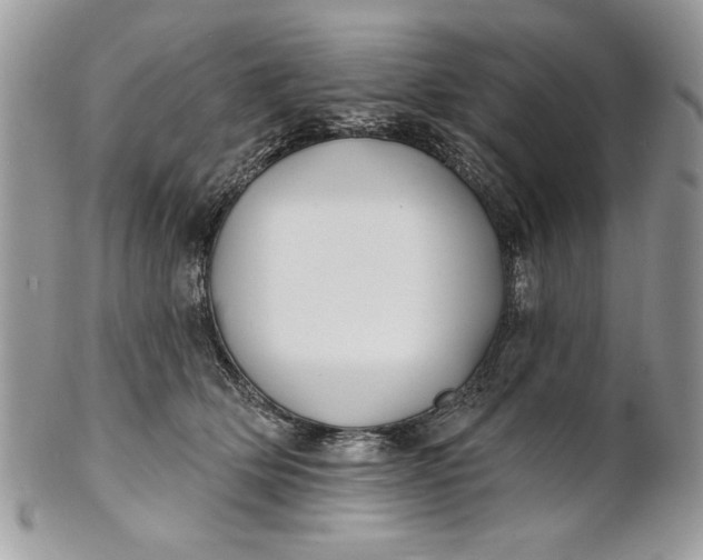 X0000100870514200807071106