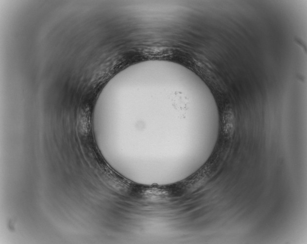 X0000100870515200807071106