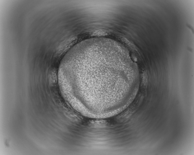 X0000100870517200807071106