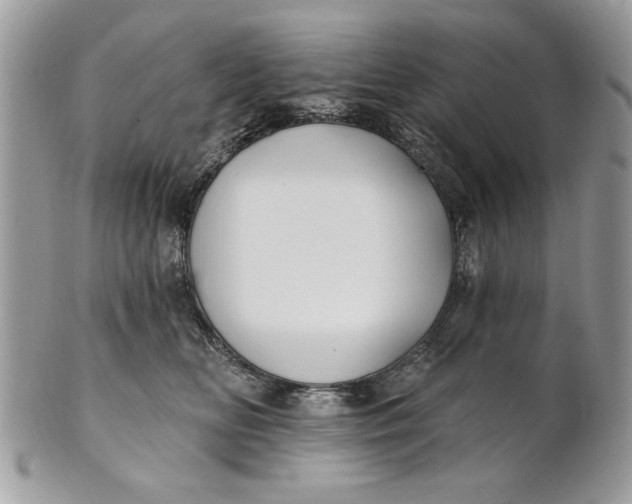 X0000100870518200807071105