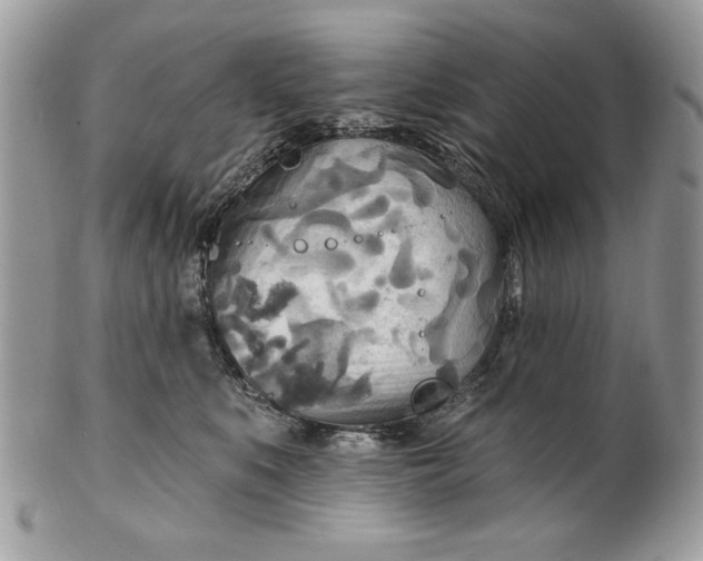 X0000100870519200807071105