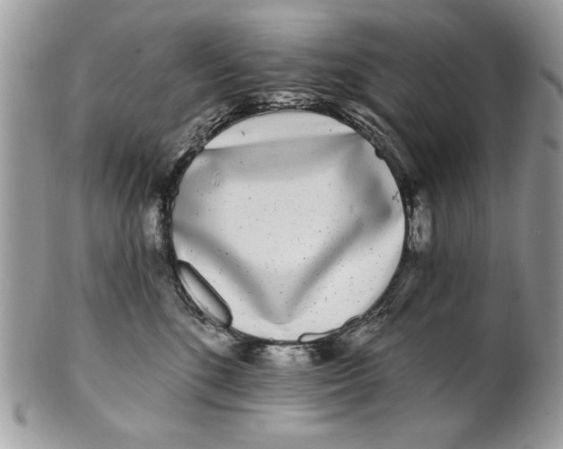 X0000100870520200807071105