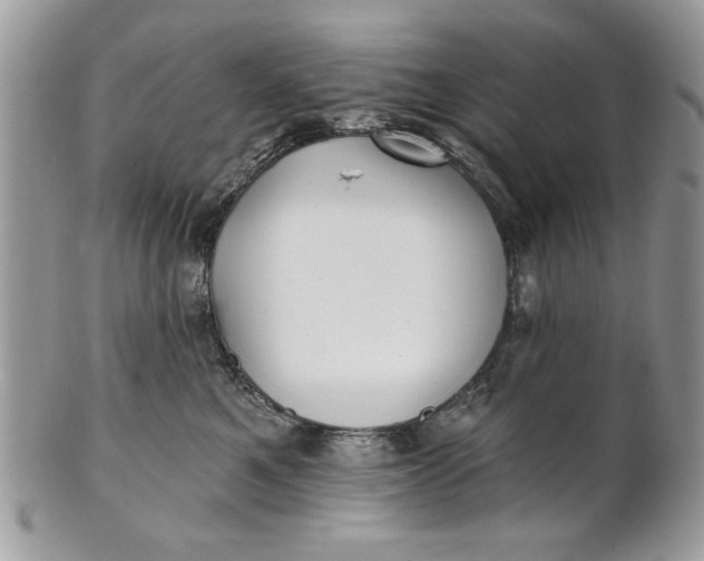 X0000100870521200807071105