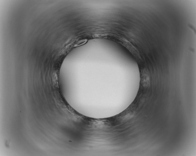 X0000100870523200807071105