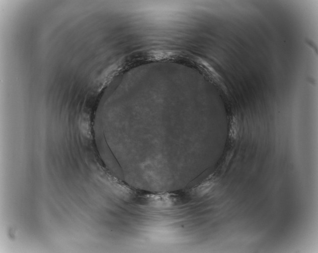 X0000100870524200807071105