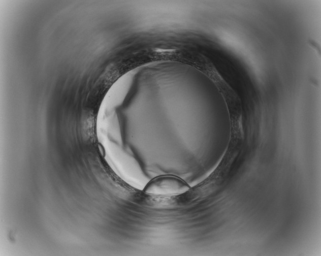 X0000100870526200807071105