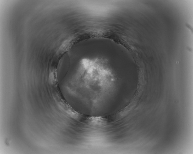 X0000100870528200807071105