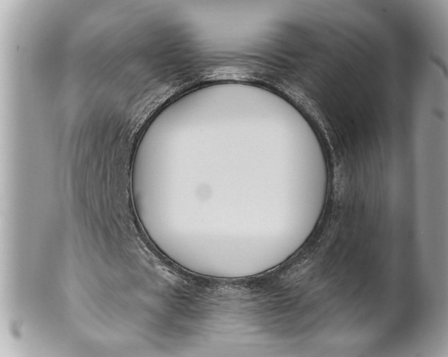 X0000100870529200807071105