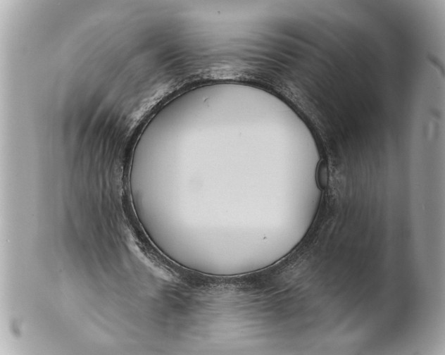 X0000100870530200807071105