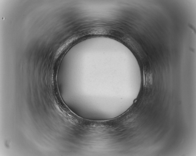 X0000100870531200807071105