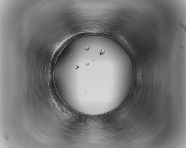 X0000100870532200807071105