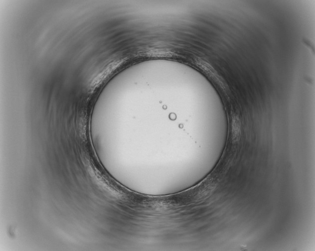 X0000100870533200807071105