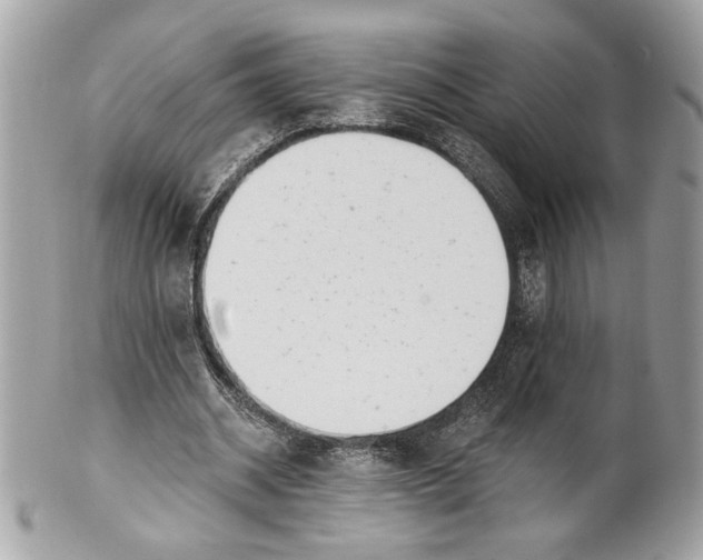 X0000100870534200807071105