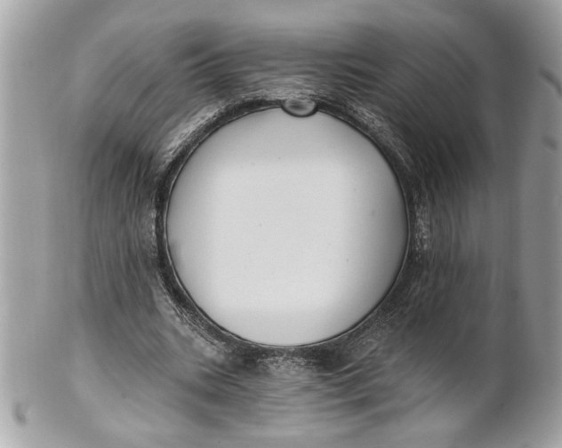 X0000100870535200807071105