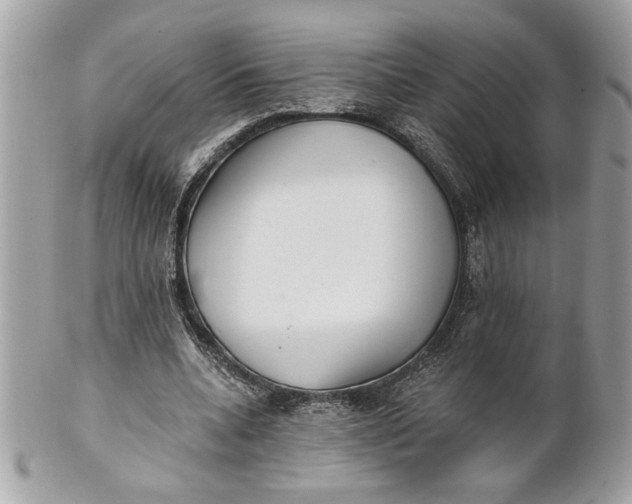 X0000100870536200807071105