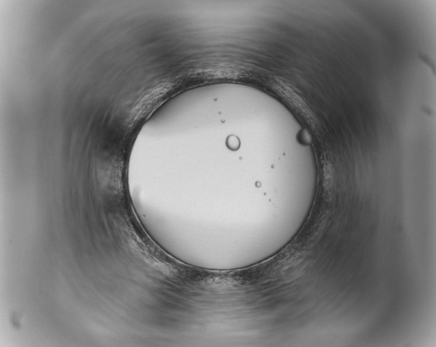 X0000100870537200807071105