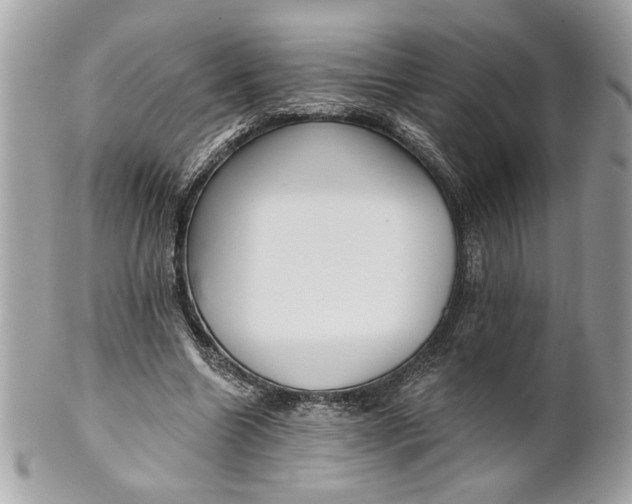 X0000100870538200807071105