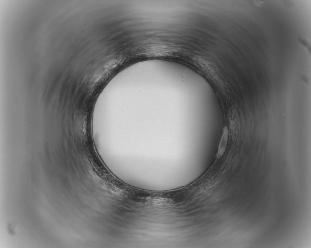 X0000100870539200807071105