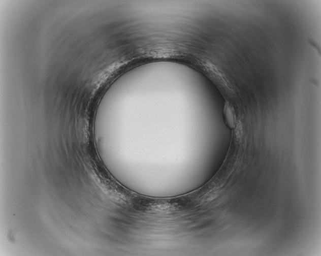 X0000100870540200807071105