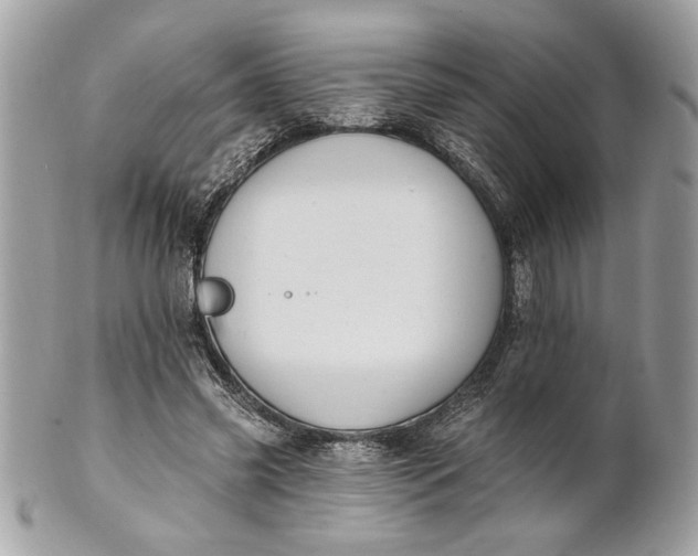 X0000100870541200807071105