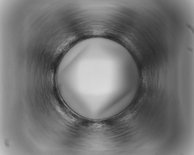 X0000100870542200807071105