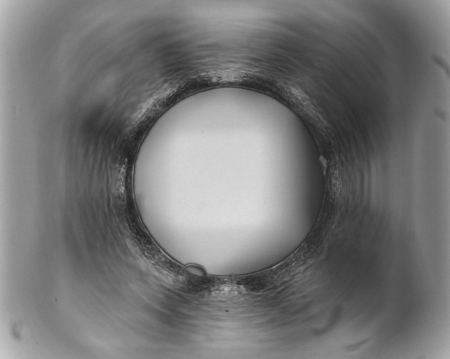 X0000100870543200807071105