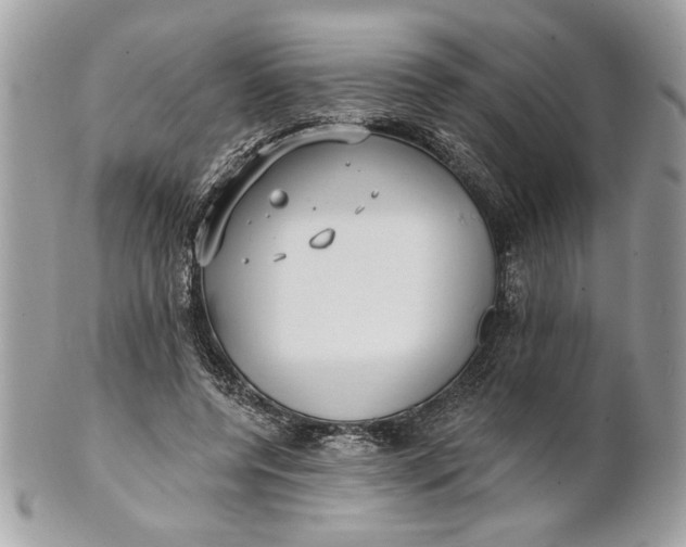 X0000100870544200807071105