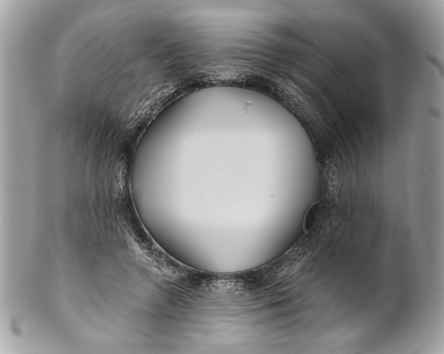 X0000100870546200807071105